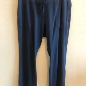 Brand New Athletic Works Casual Blue Pants XL/16
